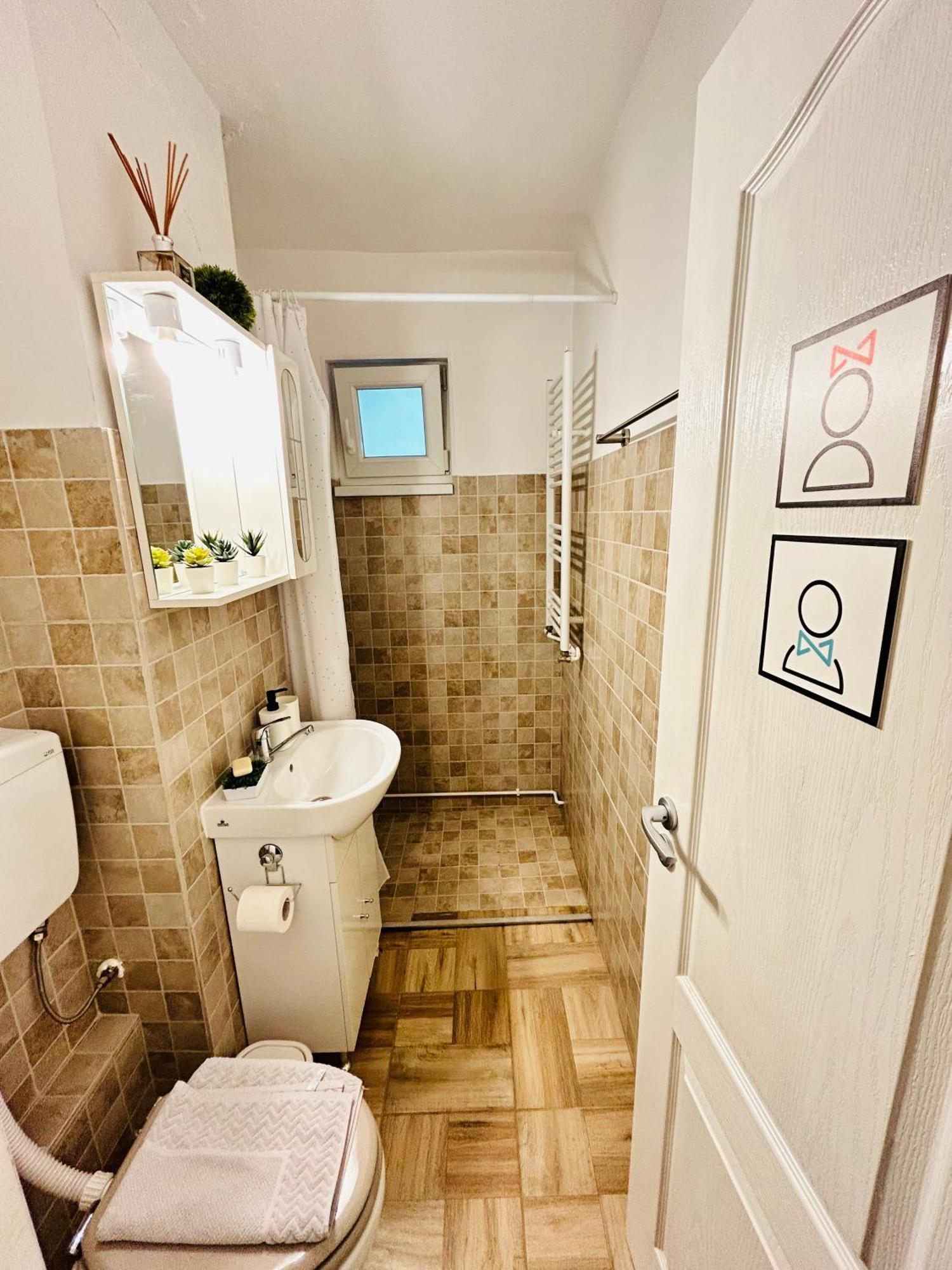 Alisz Apartments Тімішоара Екстер'єр фото
