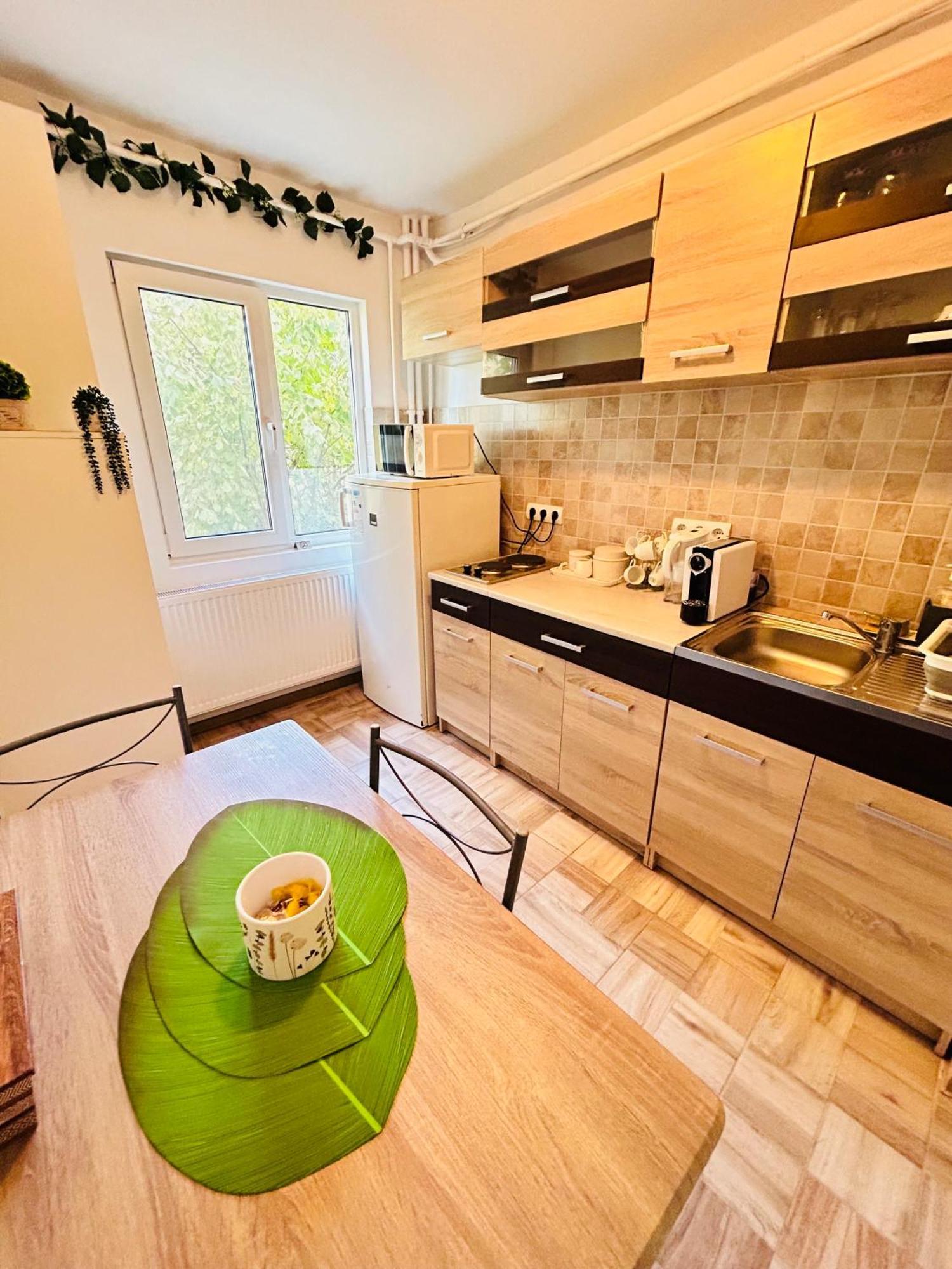 Alisz Apartments Тімішоара Екстер'єр фото